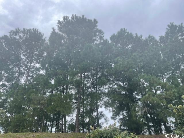 TBD Della Rd. – Longs, SC