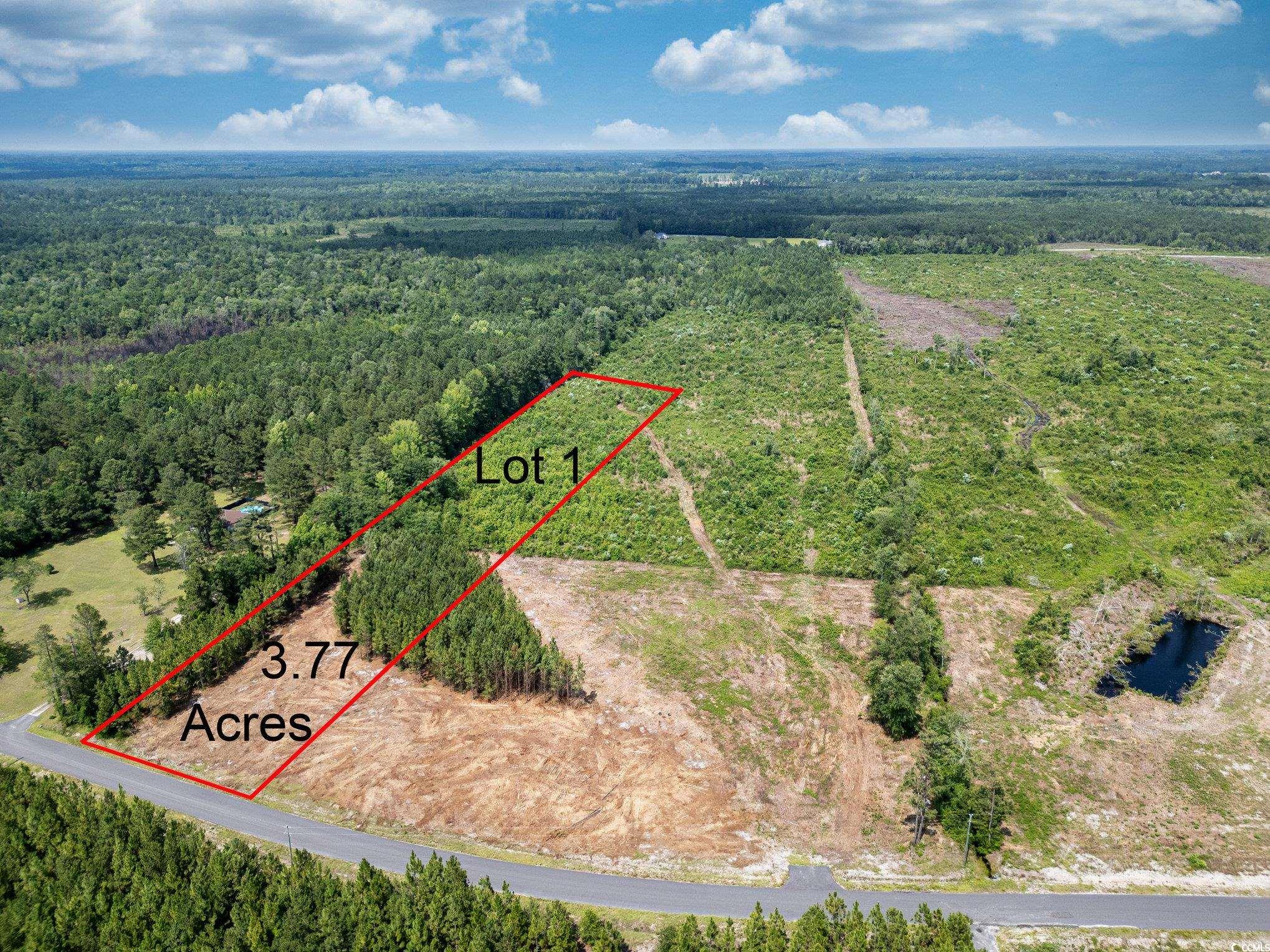 TBD Bellaire Dr. – Nichols, SC