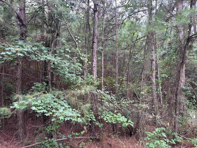 Lot 5-D McGregor St.