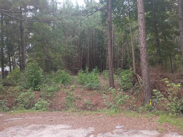Lot 12-D McGregor St.