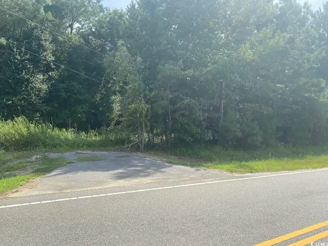 TBD Long Branch Swamp Rd.