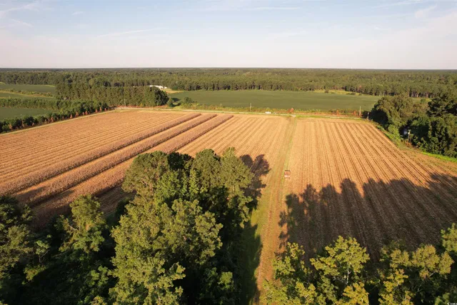 61.77 Acres-TBD Marion Church Rd.