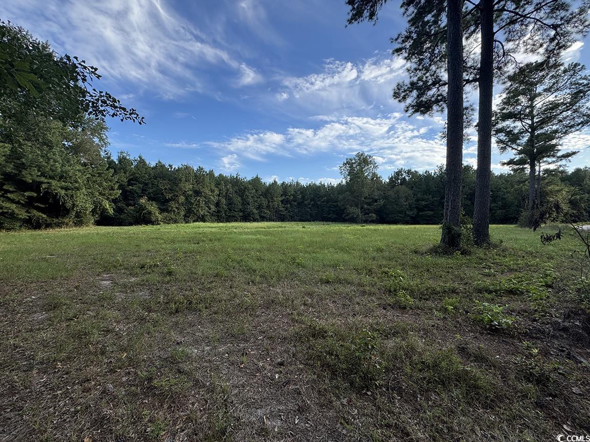 TBD Dead Ridge Rd – Nichols, SC