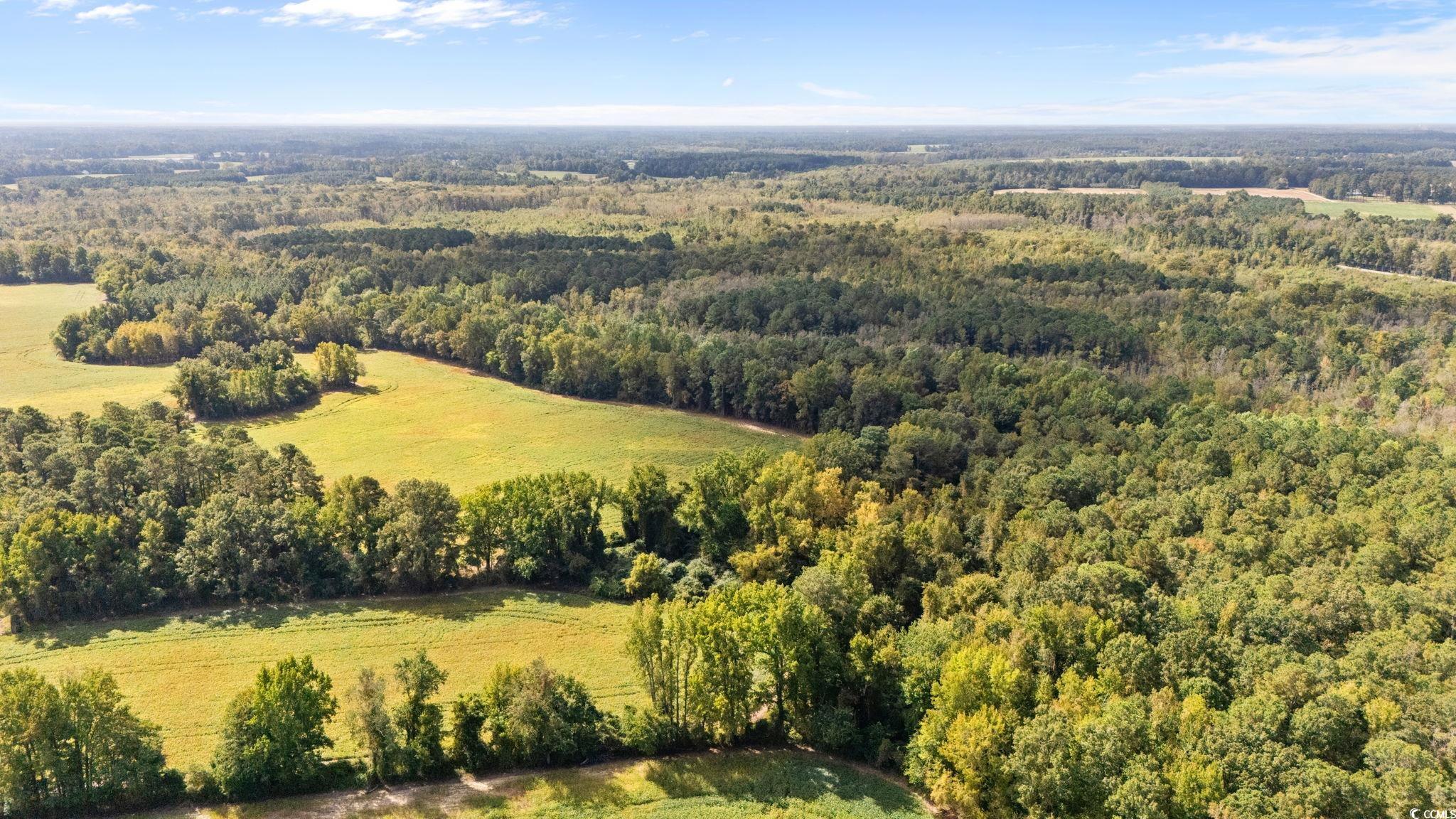 000 Schofield Pl. – Fork, SC