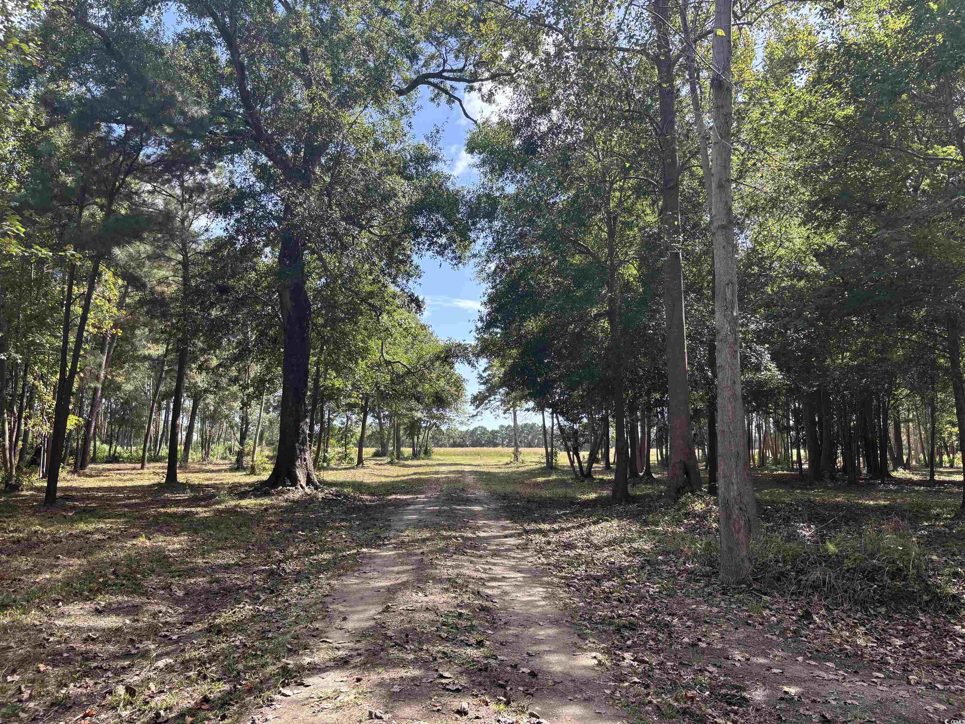 TBD Bourne Trail – North Myrtle Beach, SC