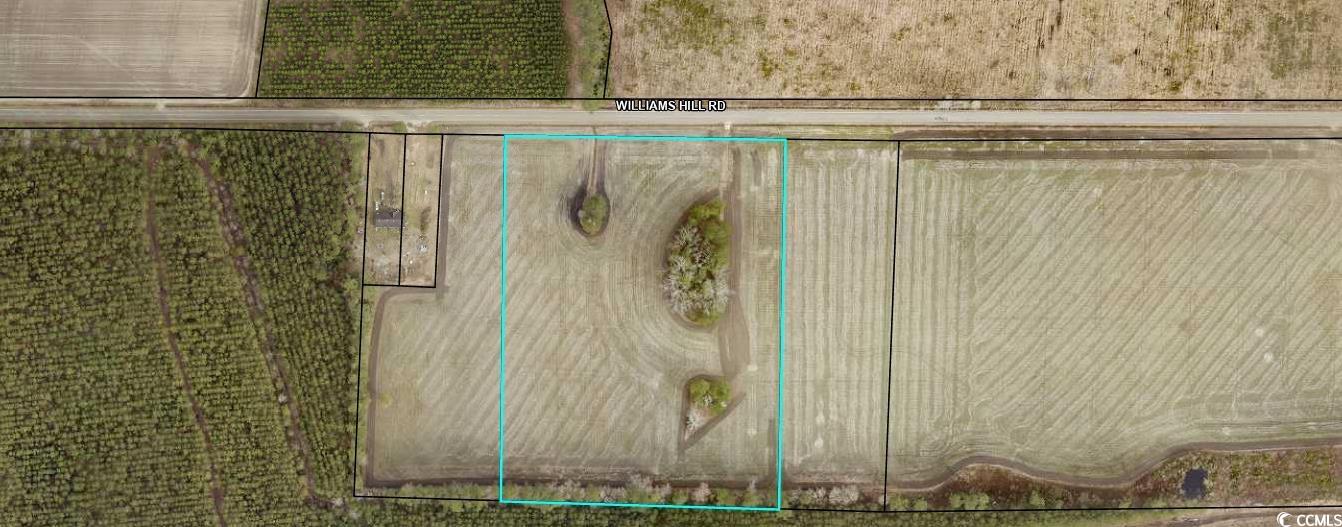 TBD2 Williams Hill Rd. – Hemingway, SC