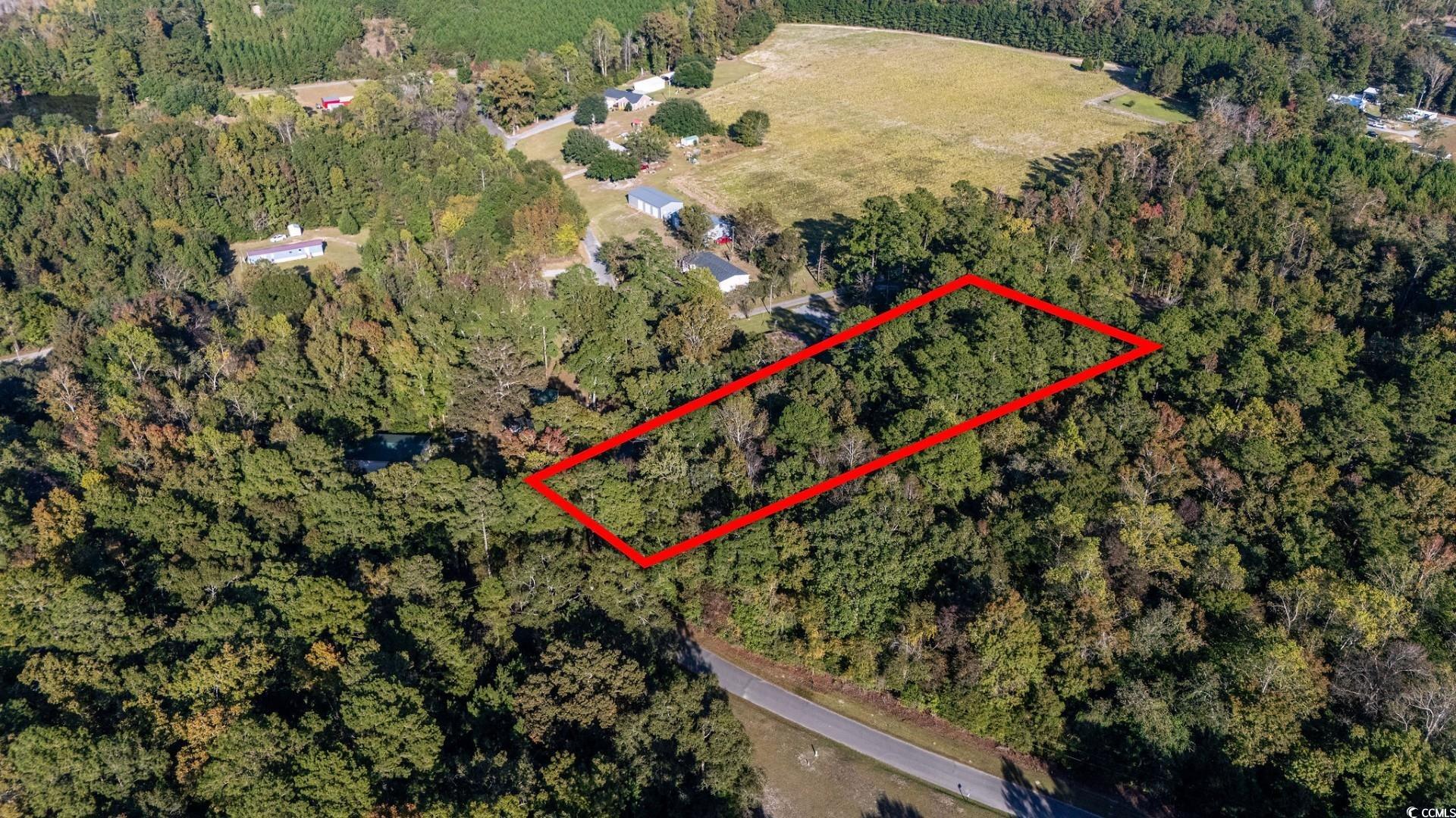 TBD Barnes Rd. – Andrews, SC