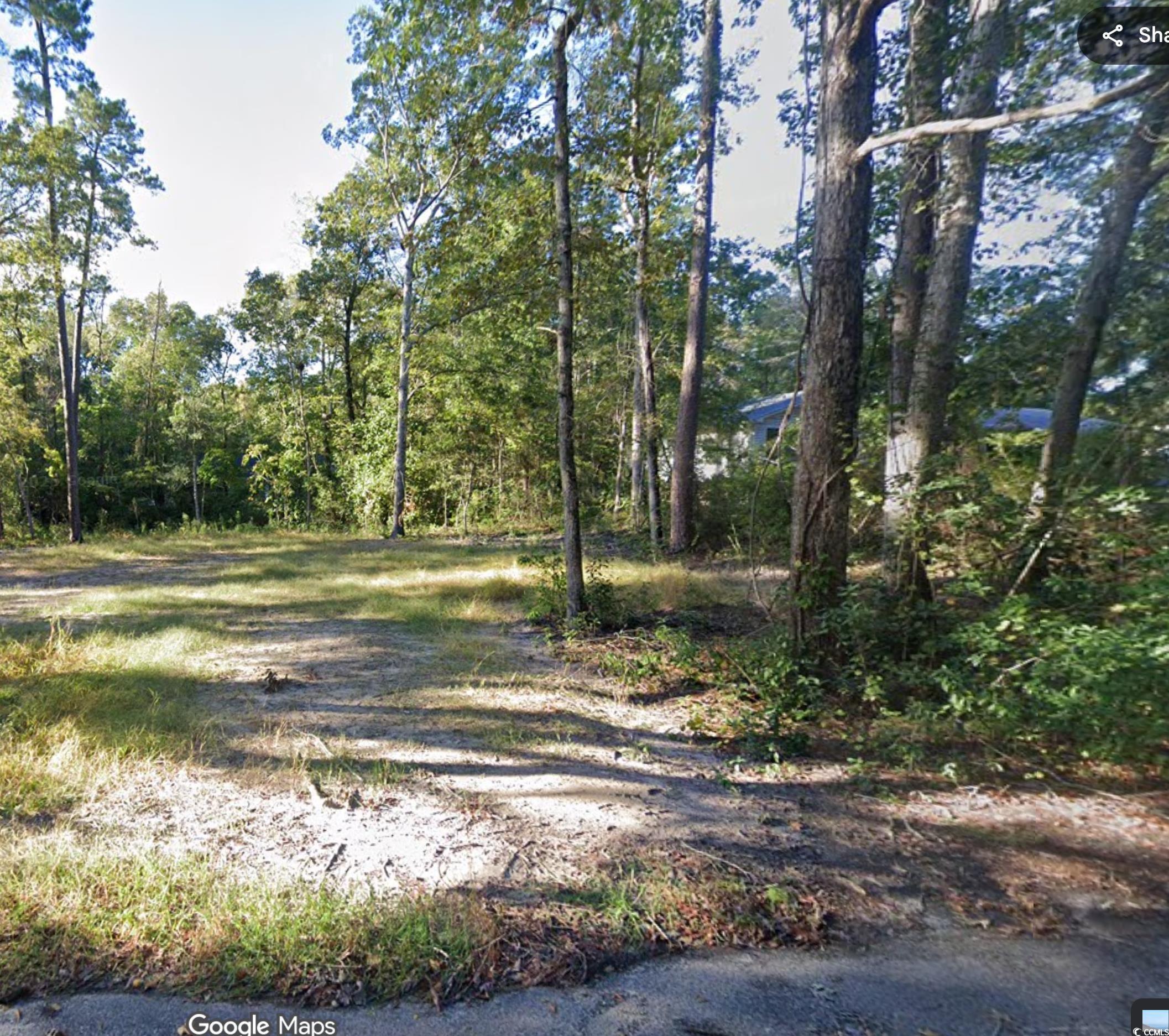 234 Pineneedle Circle – Johnsonville, SC
