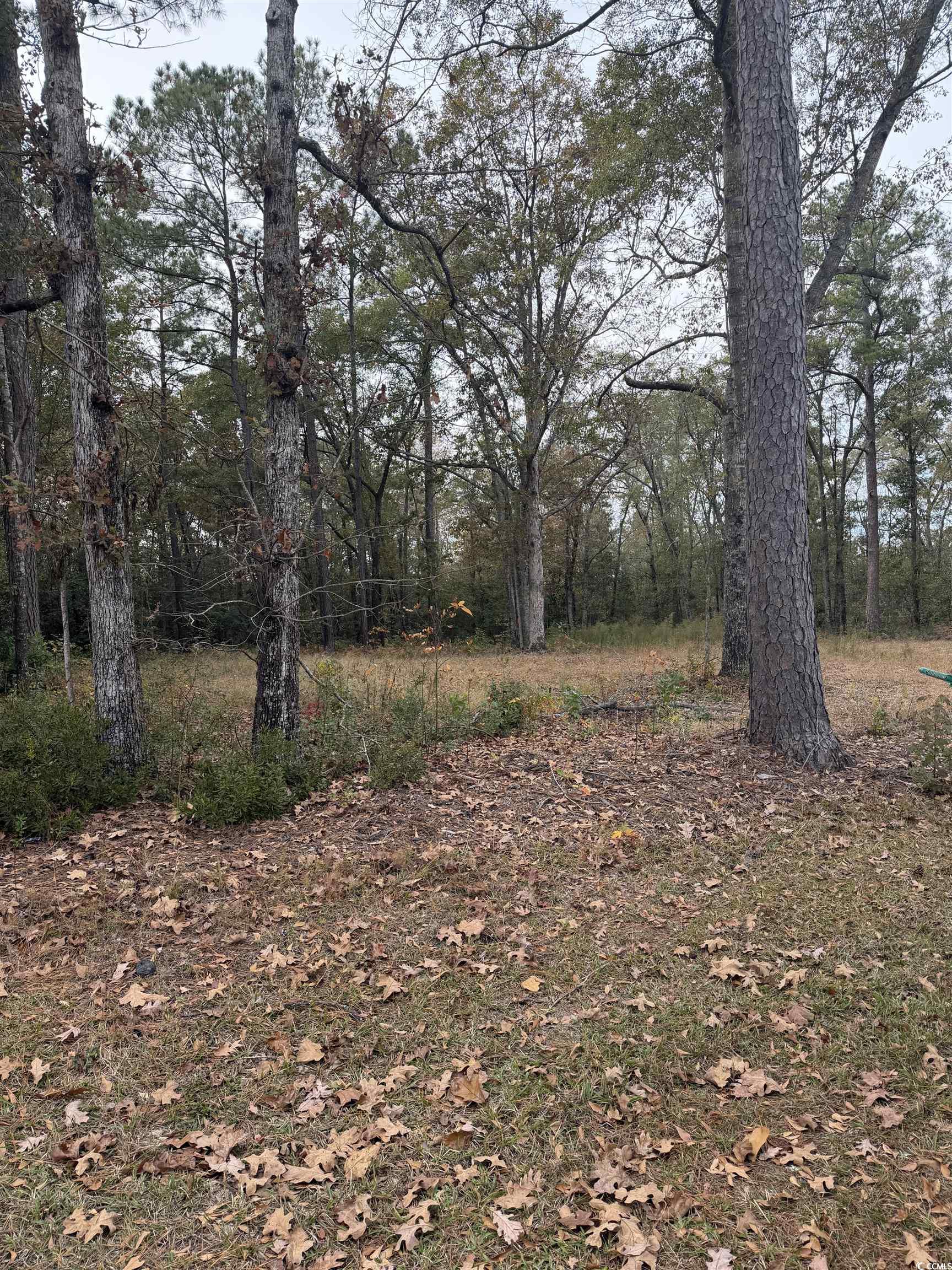 335 Byrnes Circle – Johnsonville, SC