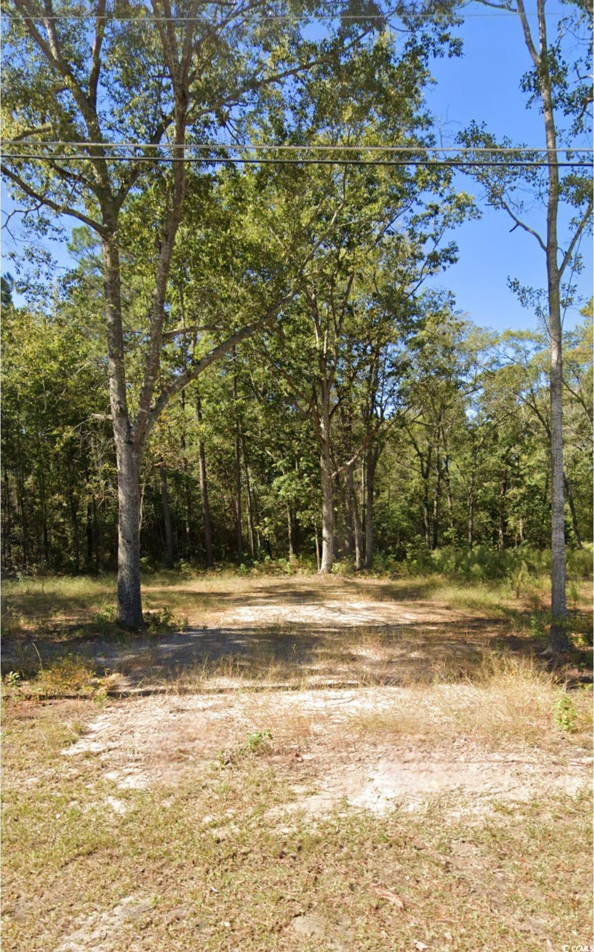329 Byrnes Circle – Johnsonville, SC