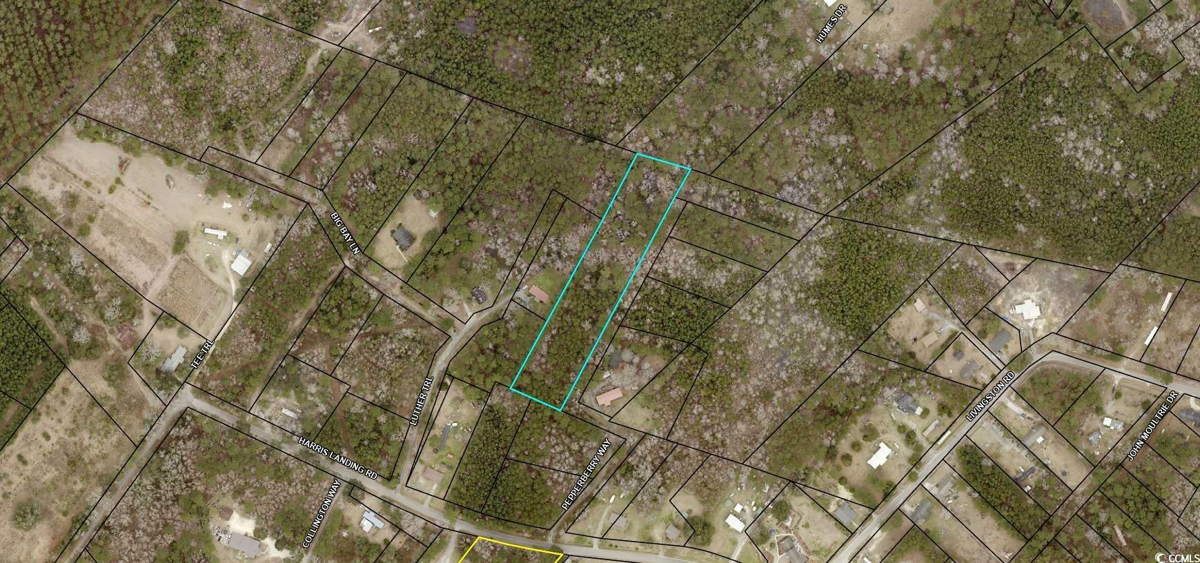 TBD Pepperberry Ln. – Georgetown, SC