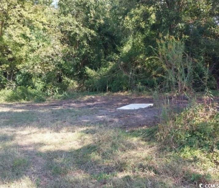 lot 1 Davis Lane – Mullins, SC