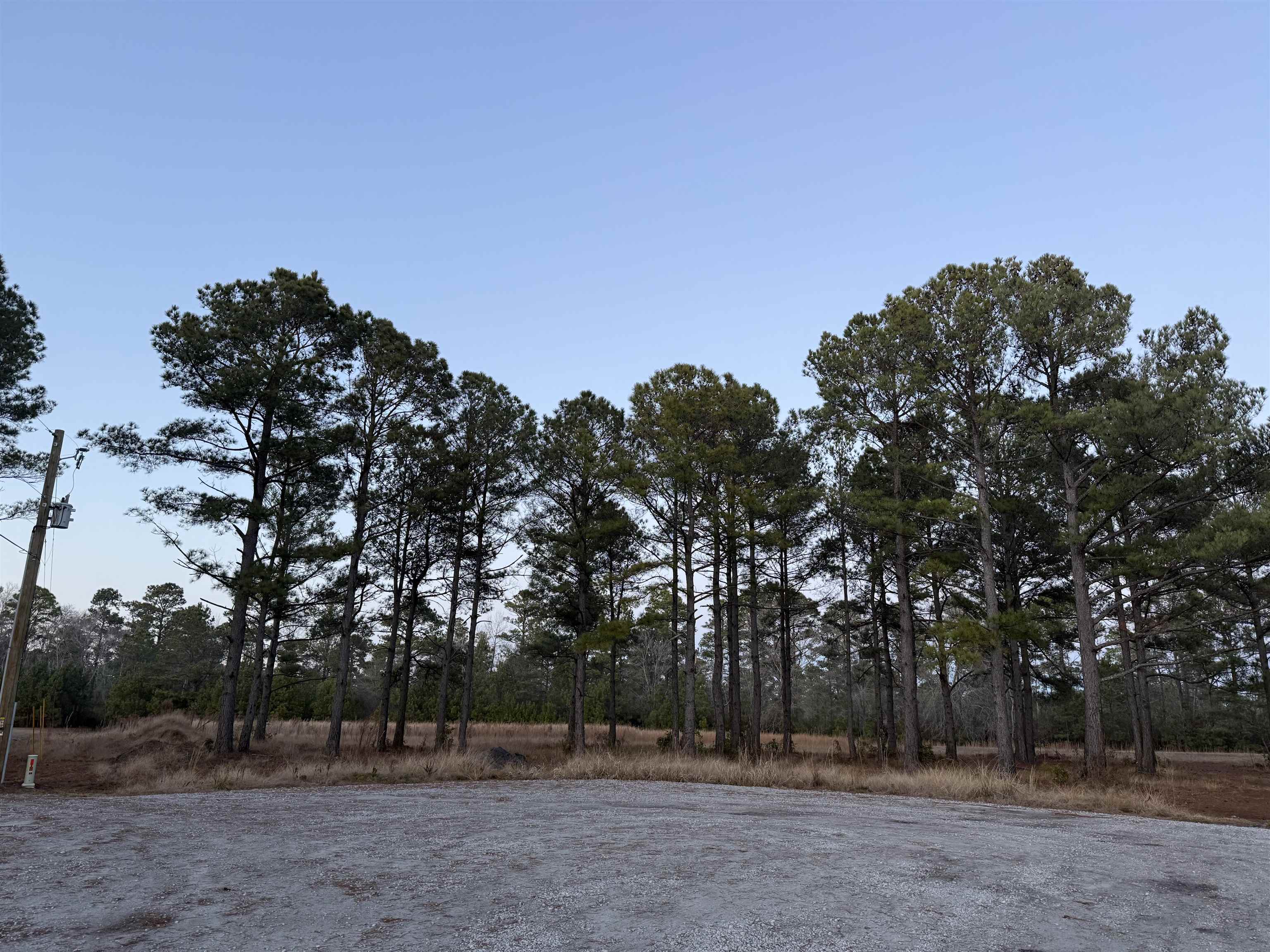 TBD Belland Ct. – Loris, SC