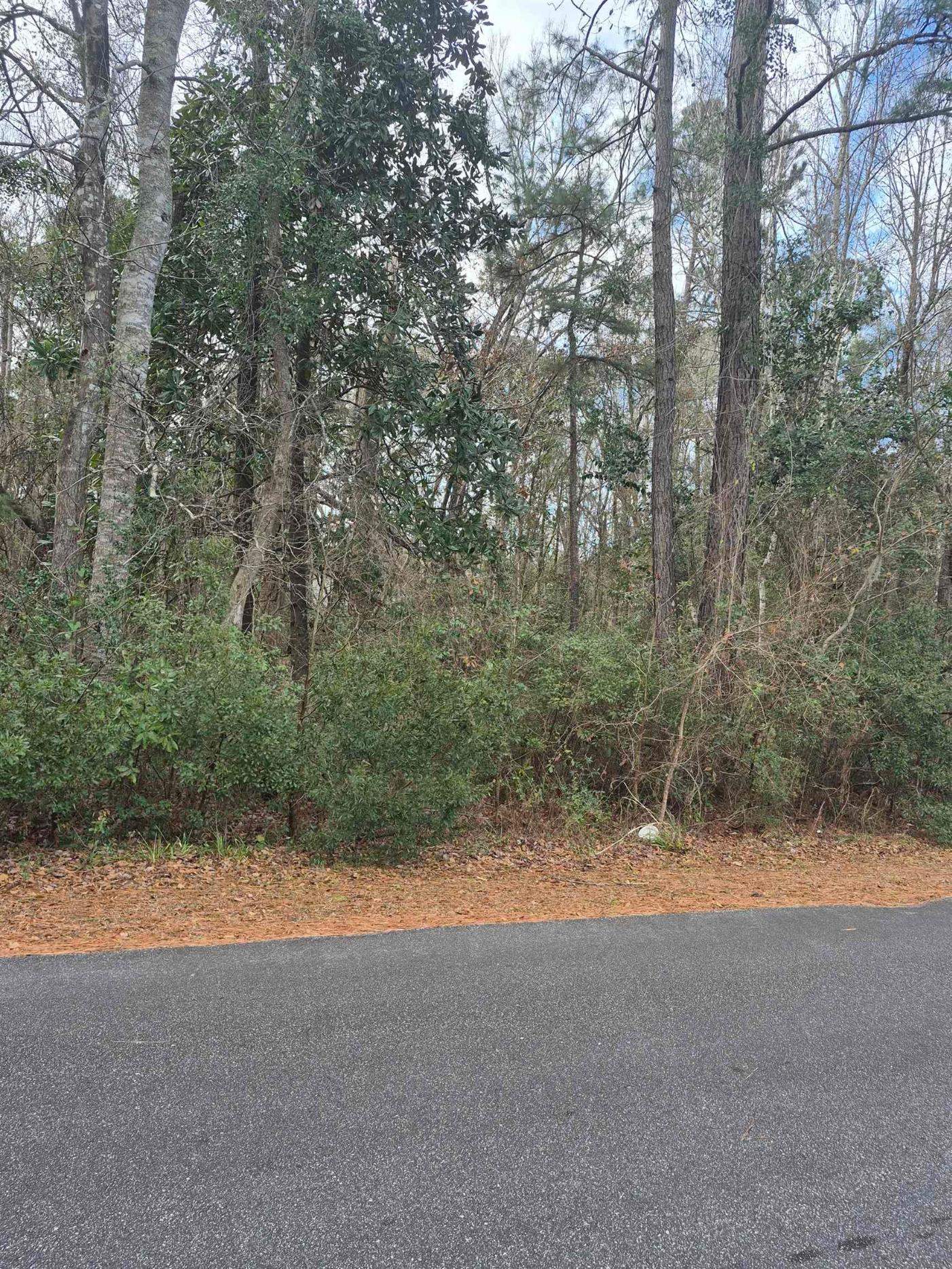 Lot 3 Third Ave. – Georgetown, SC