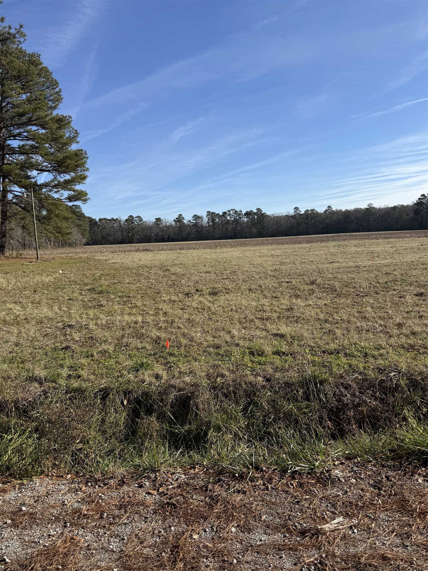 Lot 8 Johnson Shelley Rd. – Conway, SC