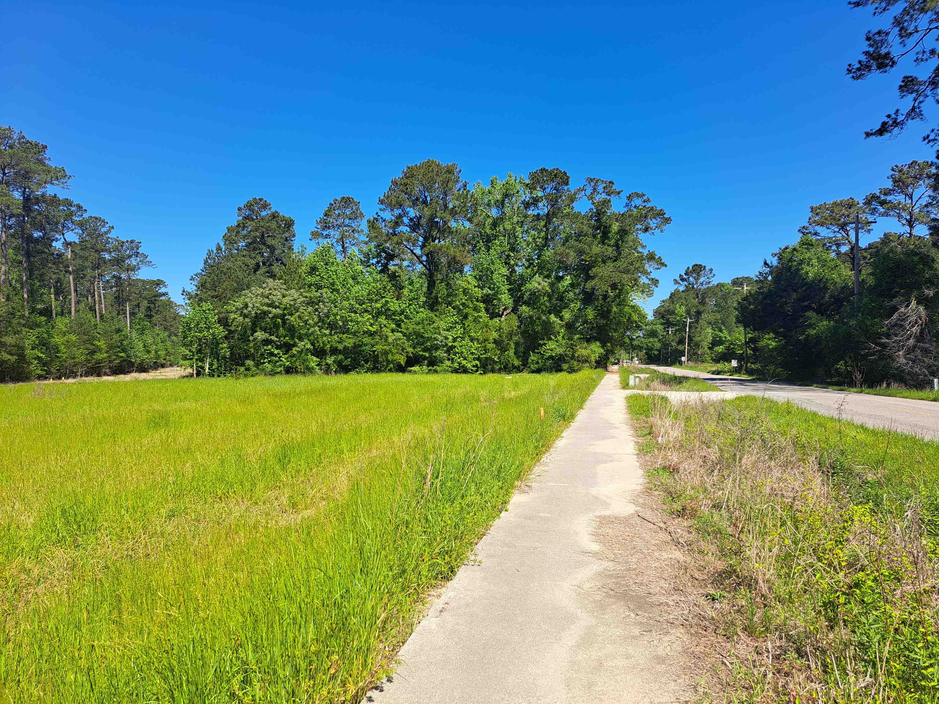 TBD Lot A Bucksport Rd. – Conway, SC
