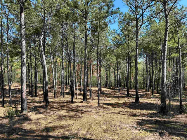 Lot 6 - TBD Old Camp Ln.