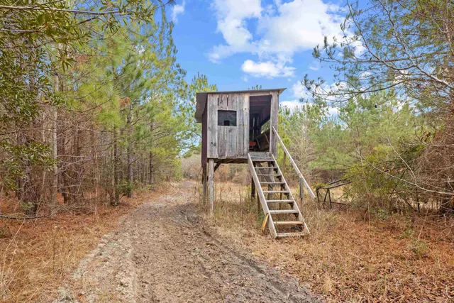TBD 183 Acres Blakely Rd.
