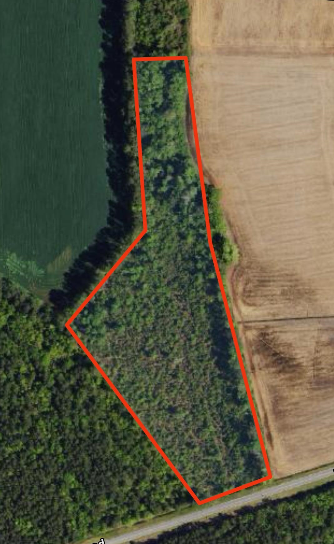 tbd Pinckney Rd. – Nichols, SC