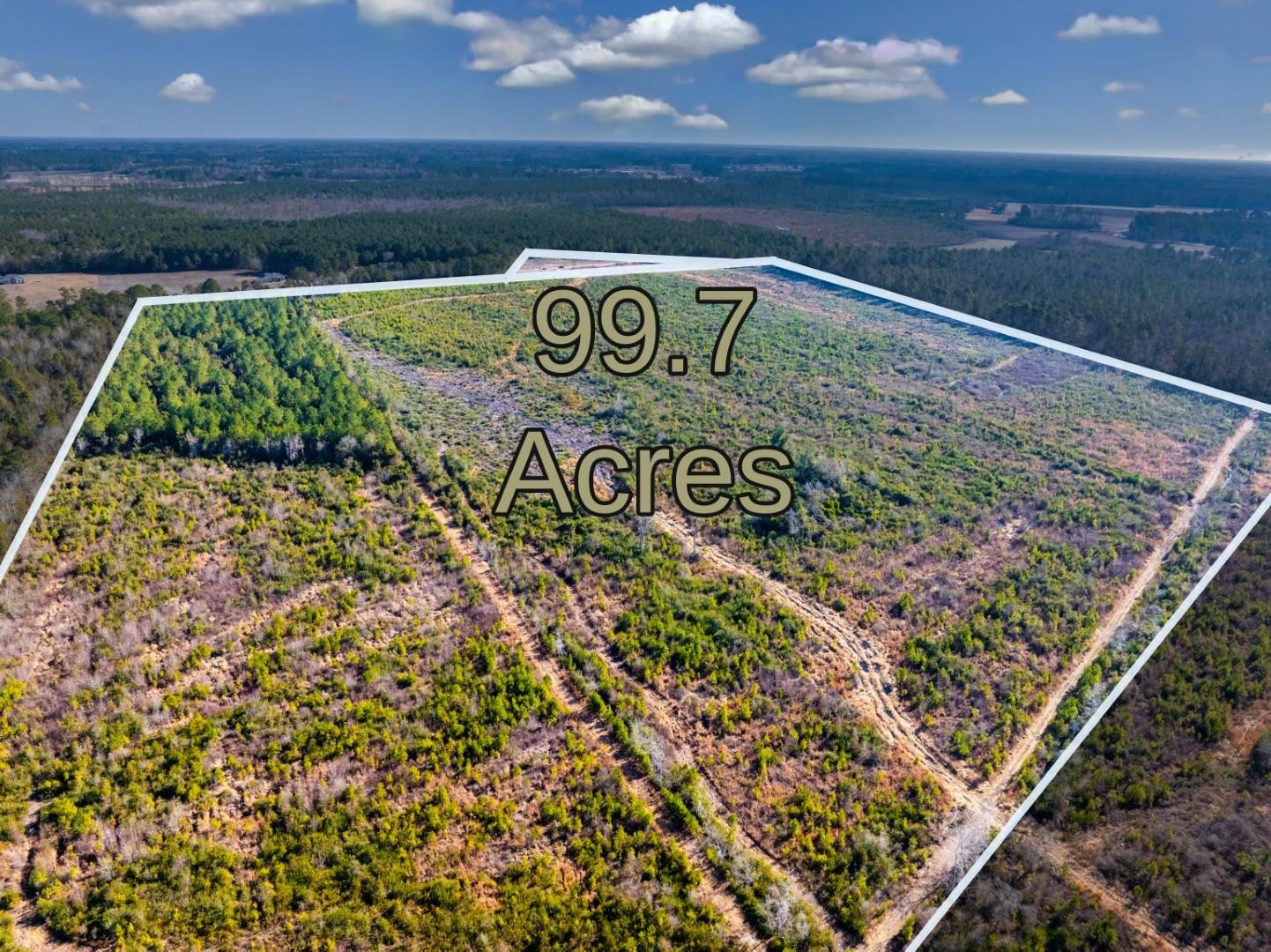 100 Acres Fifteen Mile Bay Rd. – Nichols, SC