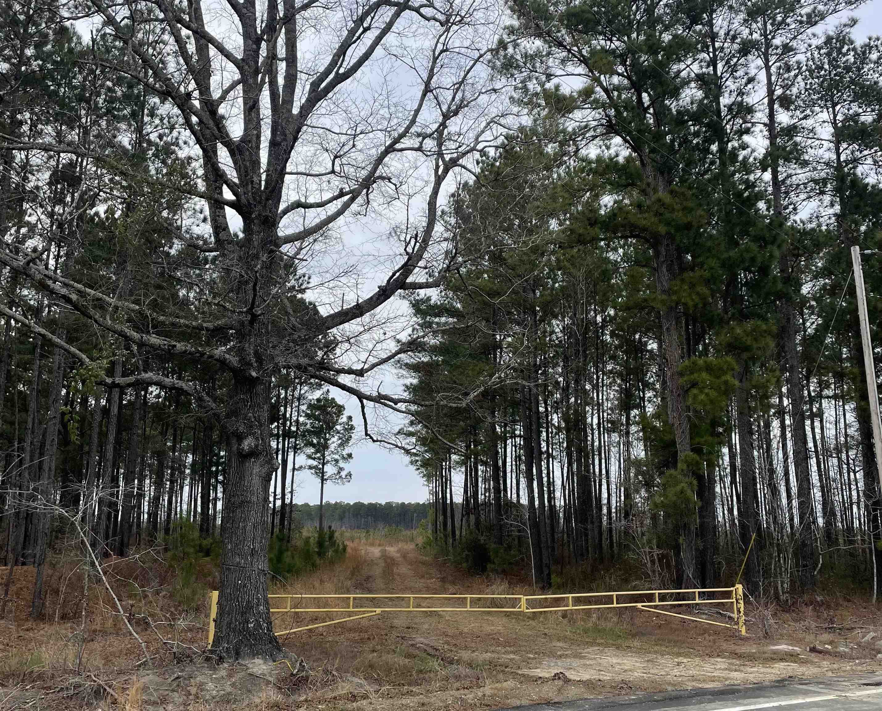 TBD Rocky Ford Rd. – Salters, SC