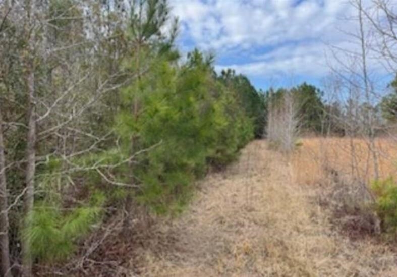 791 Moulds Rd. – Lake City, SC