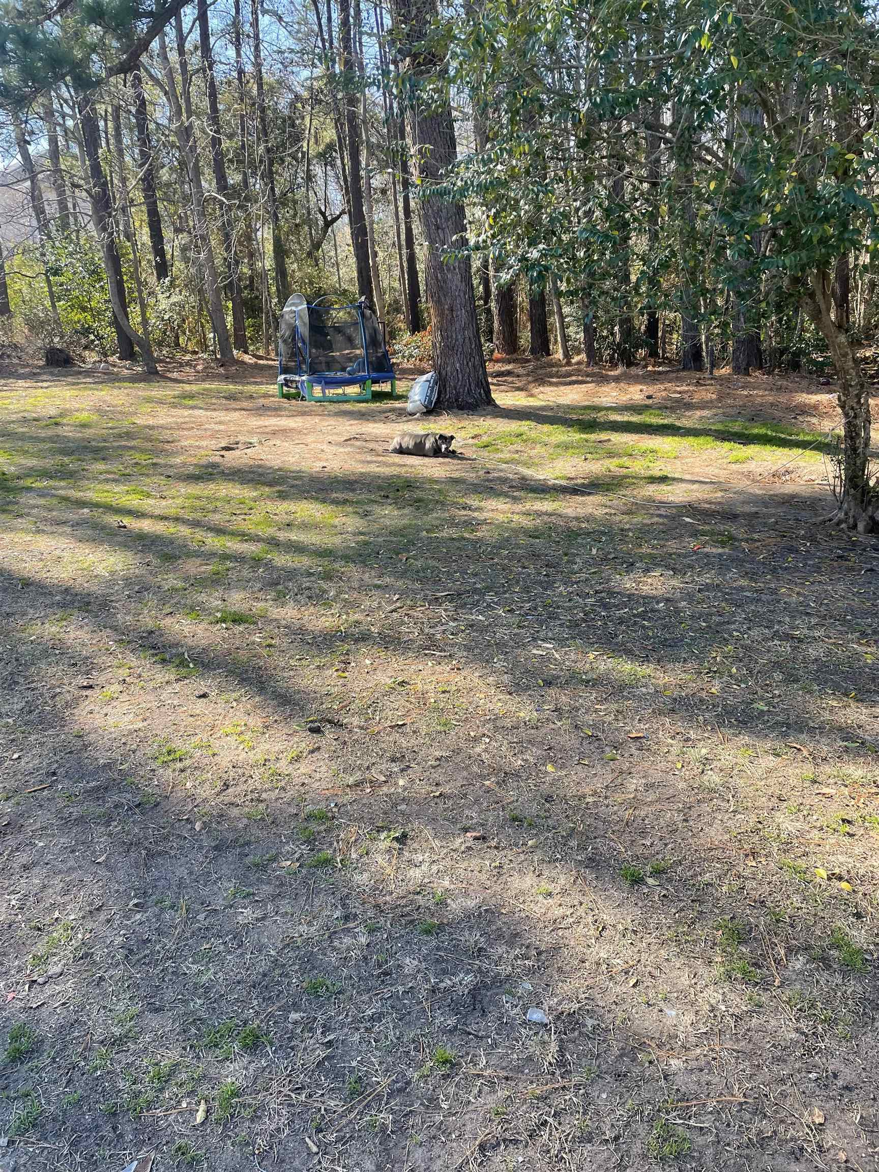 TBD Lomax Ct. – Murrells Inlet, SC