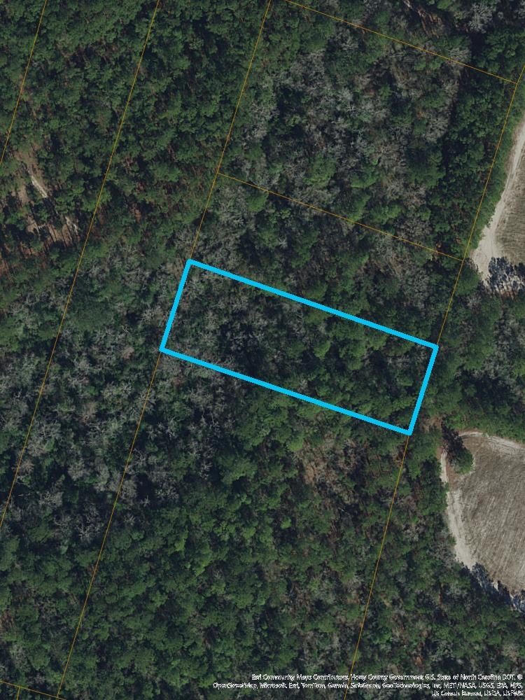 S Mill Swamp Rd. – Longs, SC