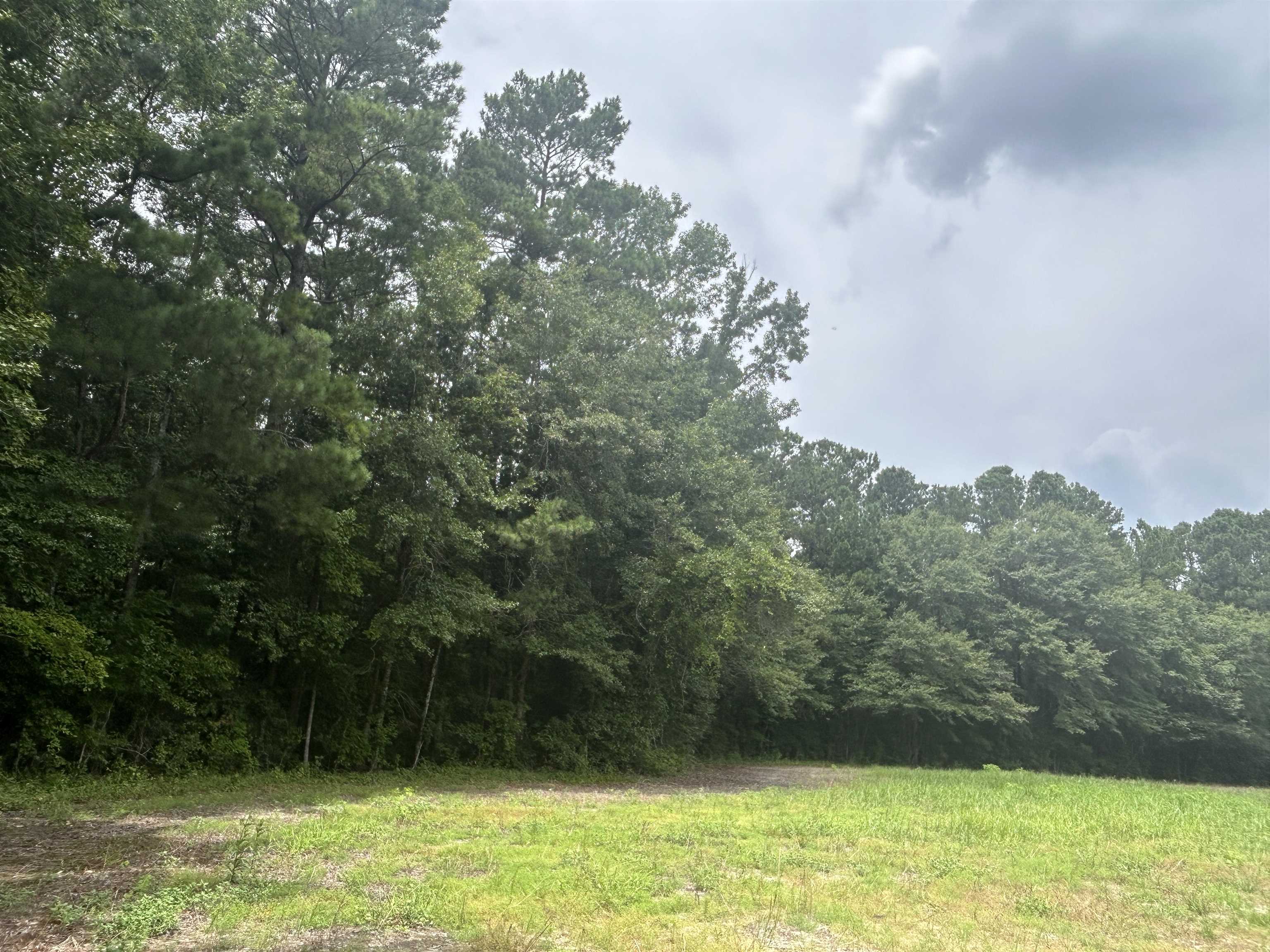 TBD Johnson  Rd. – Galivants Ferry, SC
