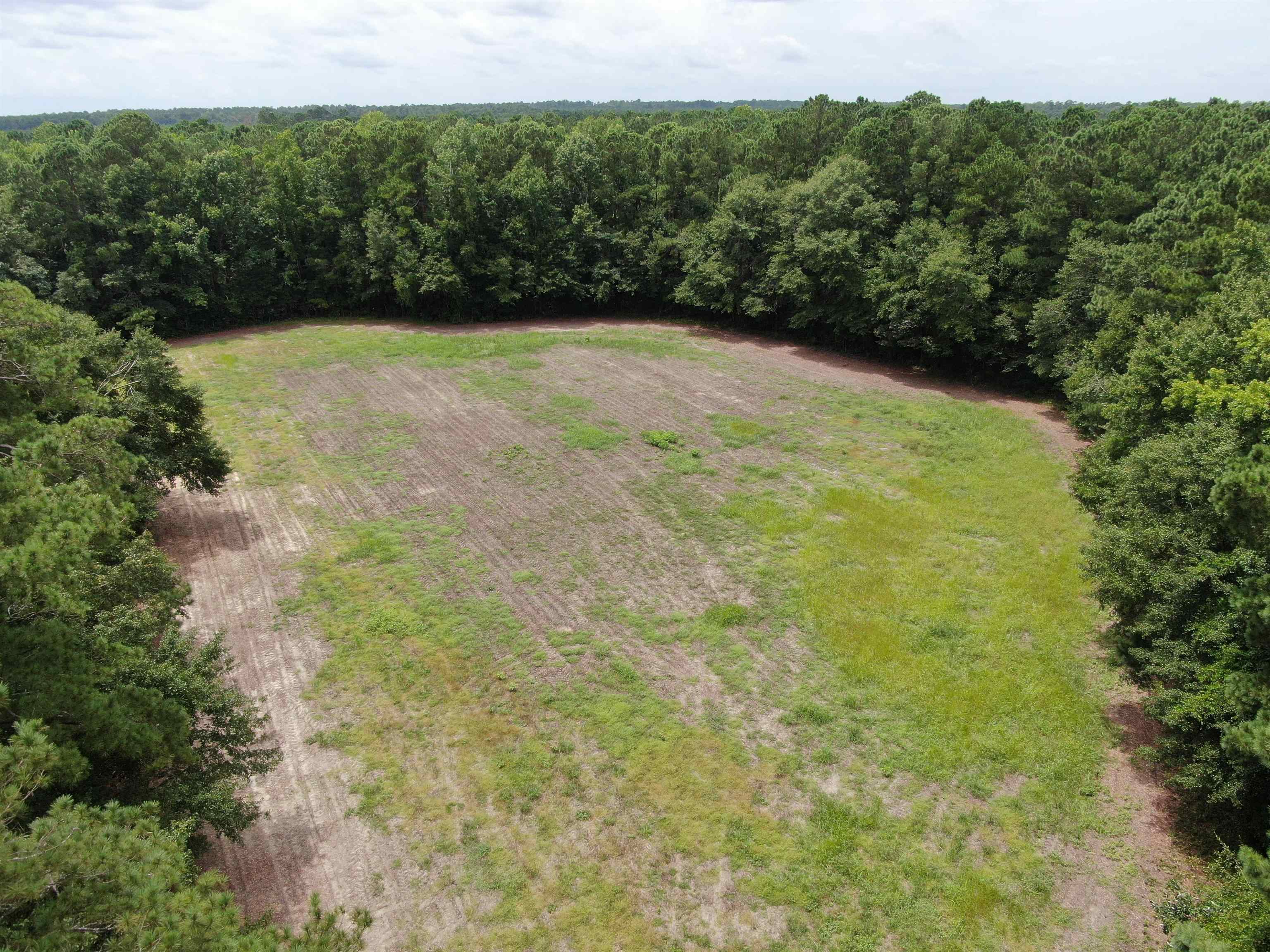 TBD Johnson  Rd. – Galivants Ferry, SC