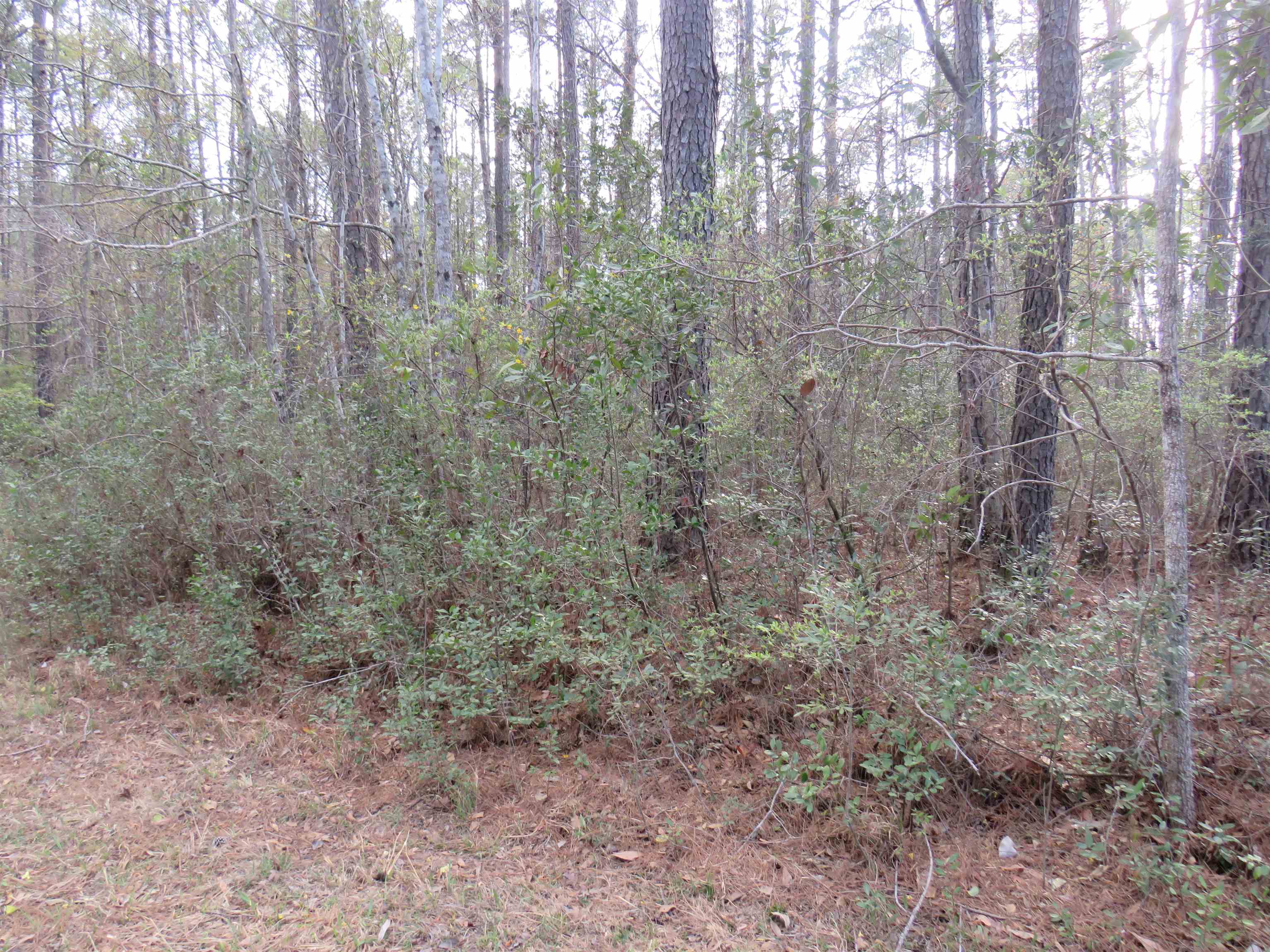 T.B.D. Finnell Rd. – Little River, SC