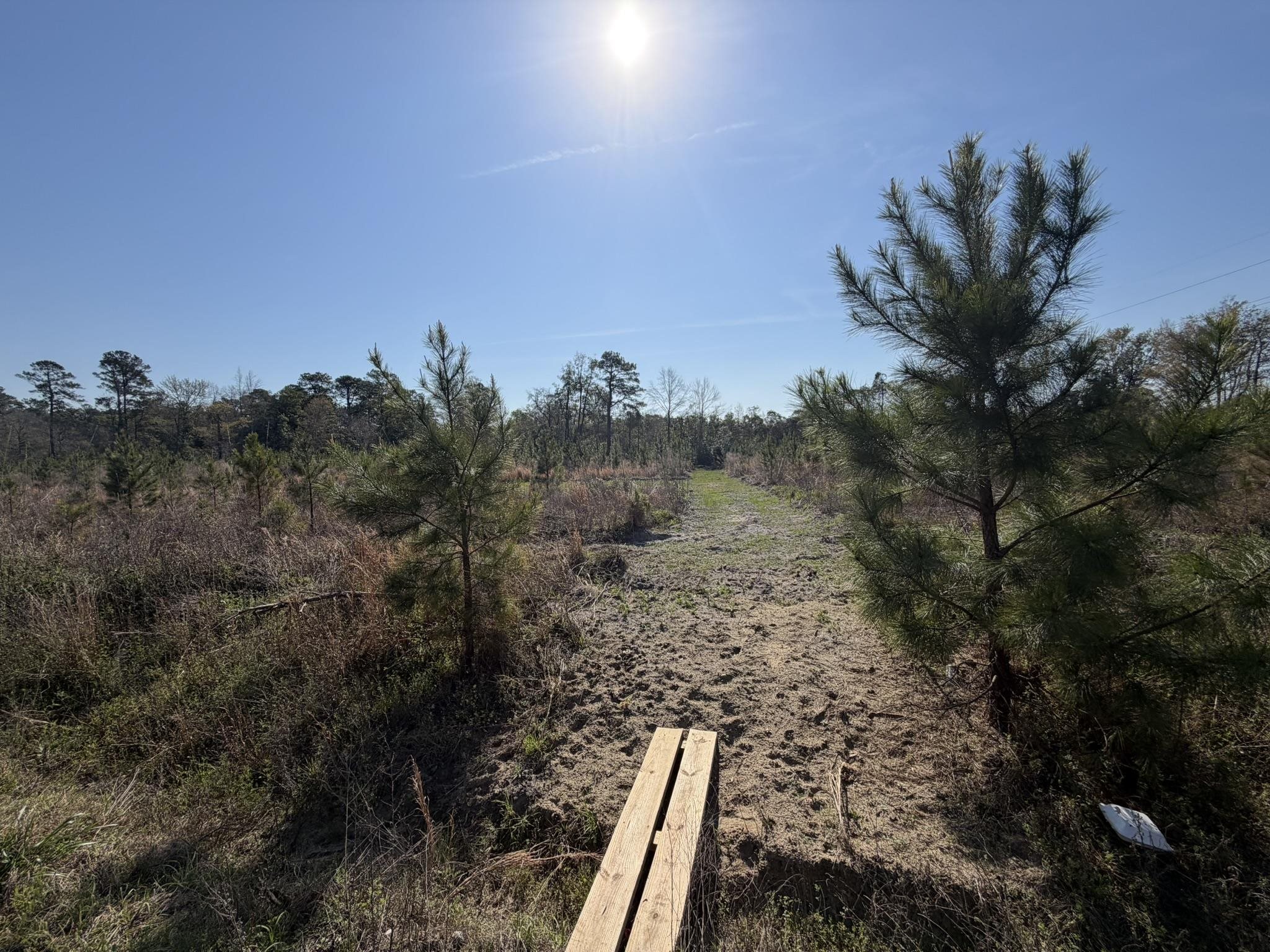Lot 1 Amos Rd – Georgetown, SC