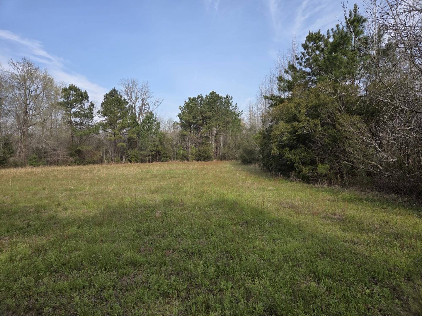 TBD Hubcap Rd. – Kingstree, SC