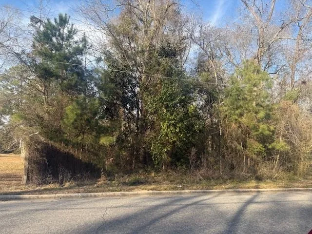 Near 217/TBD East Clay St.