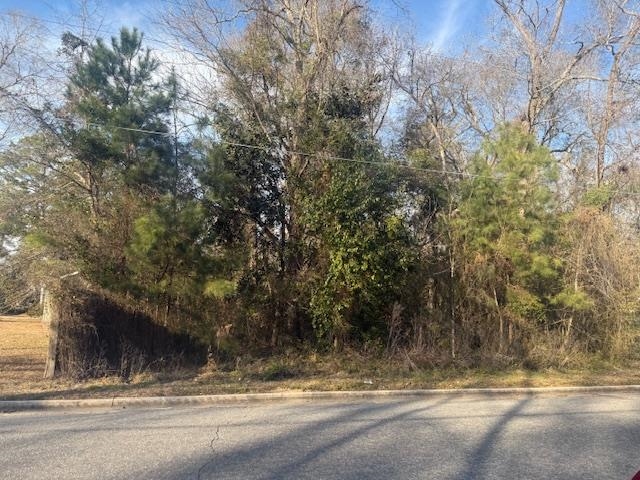 Near 217/TBD East Clay St. – Whiteville, NC