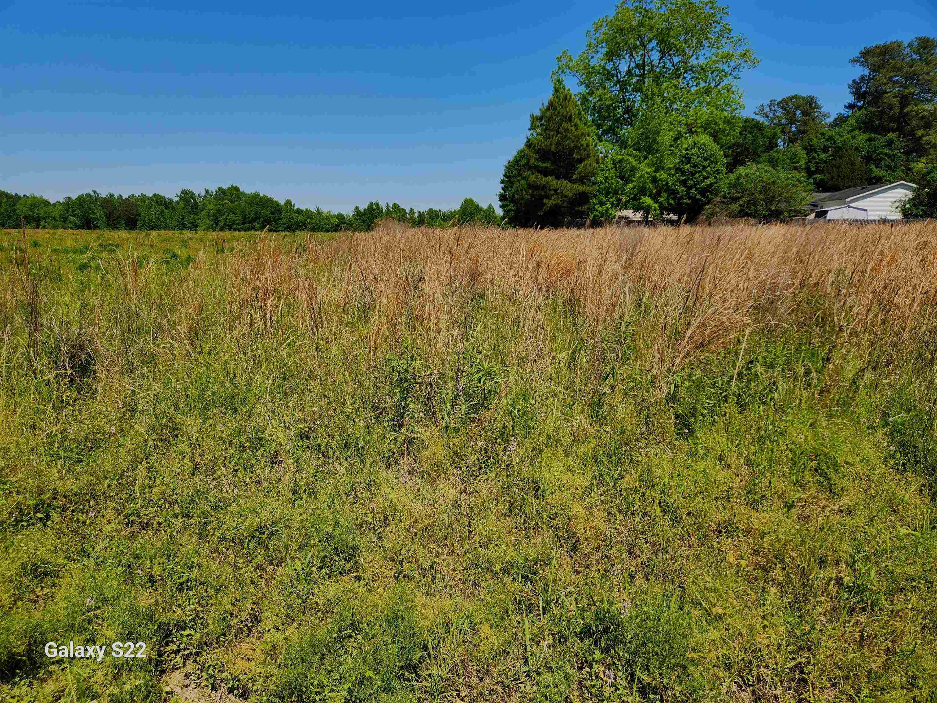 TBD Pleasant View Church Rd. – Nichols, SC