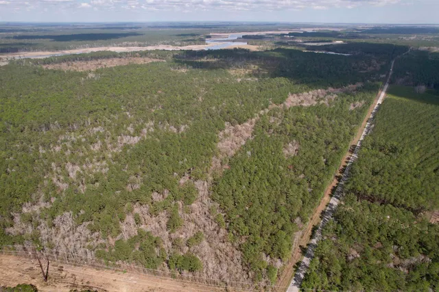 Tract C - TBD Pennyroyal Rd.