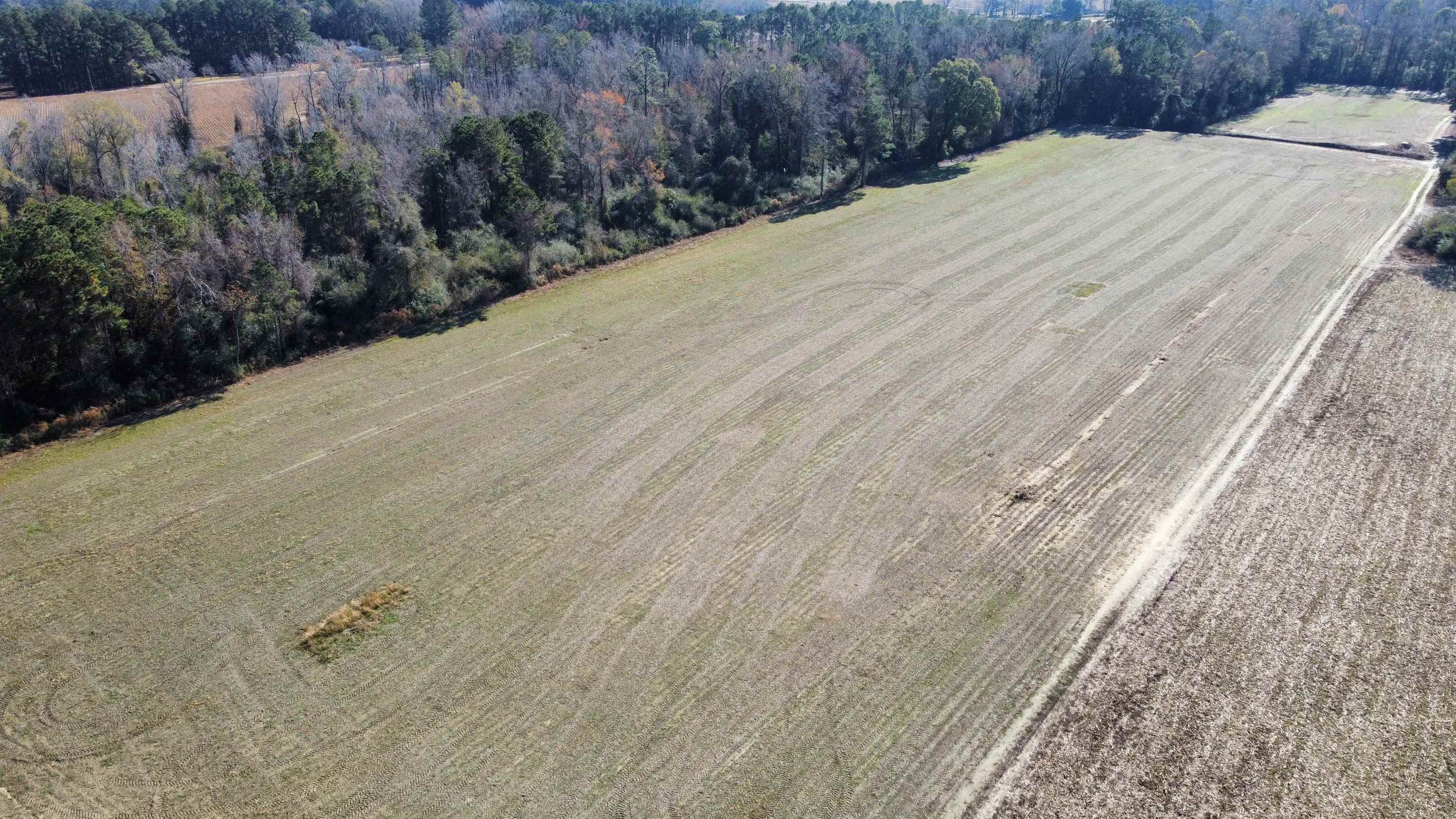 TBD Highway 917 – Nichols, SC