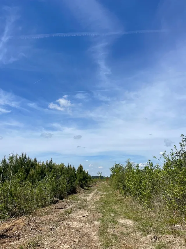 TBD 30 ac Rocky Ford Rd.