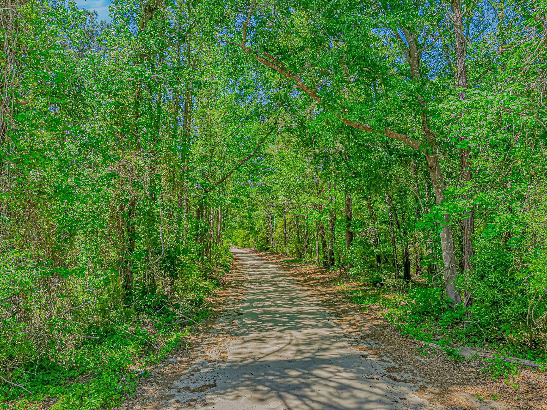 TBD Piney Grove Church Rd – Gresham, SC