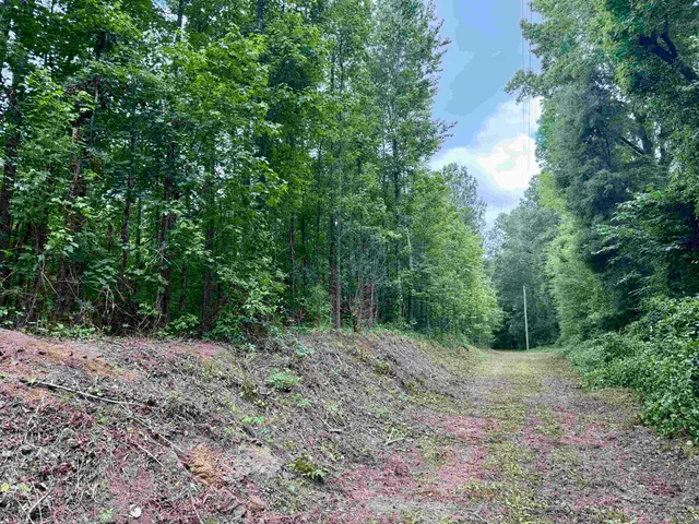 18 Acres - TBD Driffin Ln