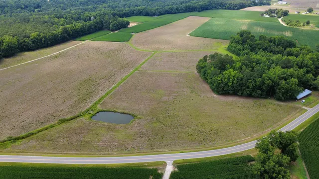 TBD (Tract 3) Long Branch Swamp Rd.