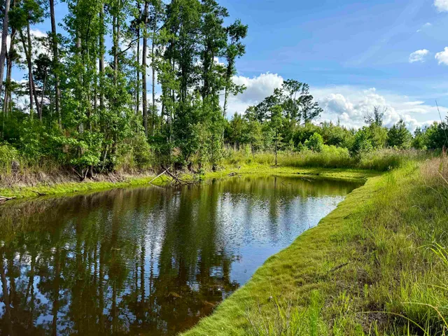 85± Acres - Muddy Creek Rd.