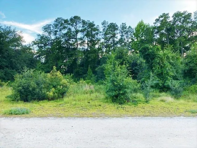 Lot 1 Ivanhoe Pl.