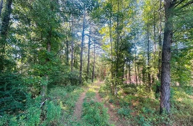 18.3 Acres - Turkey Ln