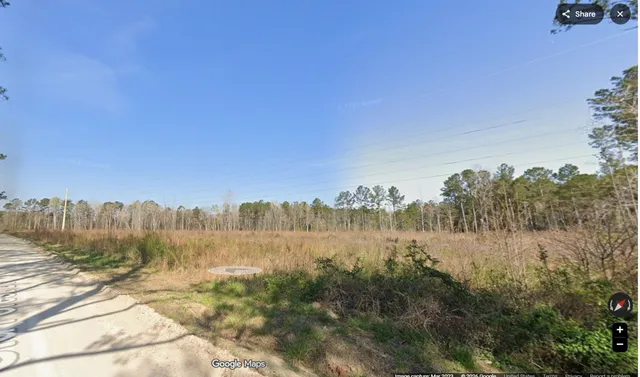 TBD1 Old Forest Dr.