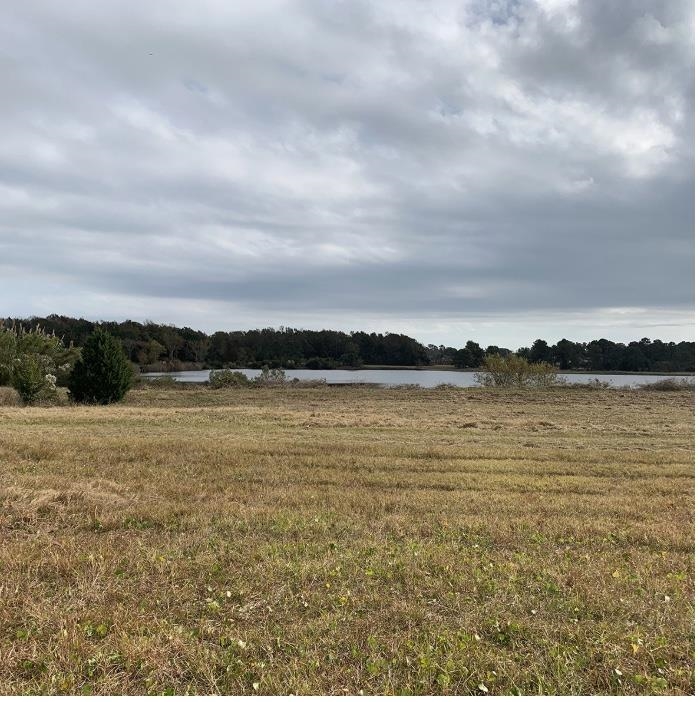 44.25 Ac Old Sanders Dr. – North Myrtle Beach, SC