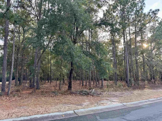 Lot 63 Preservation Circle