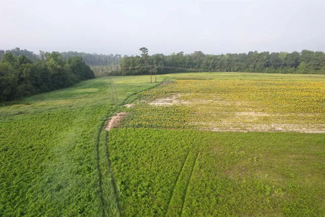 9.58 Acres - S Deerfield Rd.