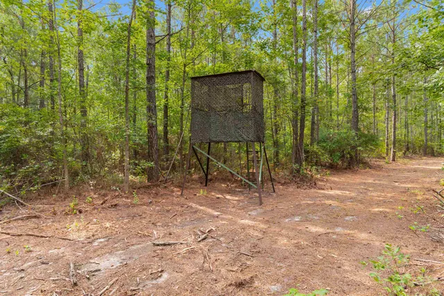 155.81 Acres - Roper Woods Rd.